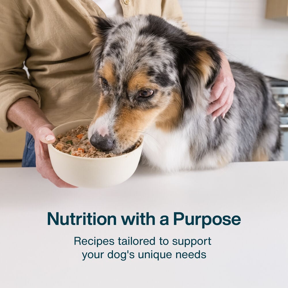 Healthy Weight 18 oz (7 Pack) Small Box