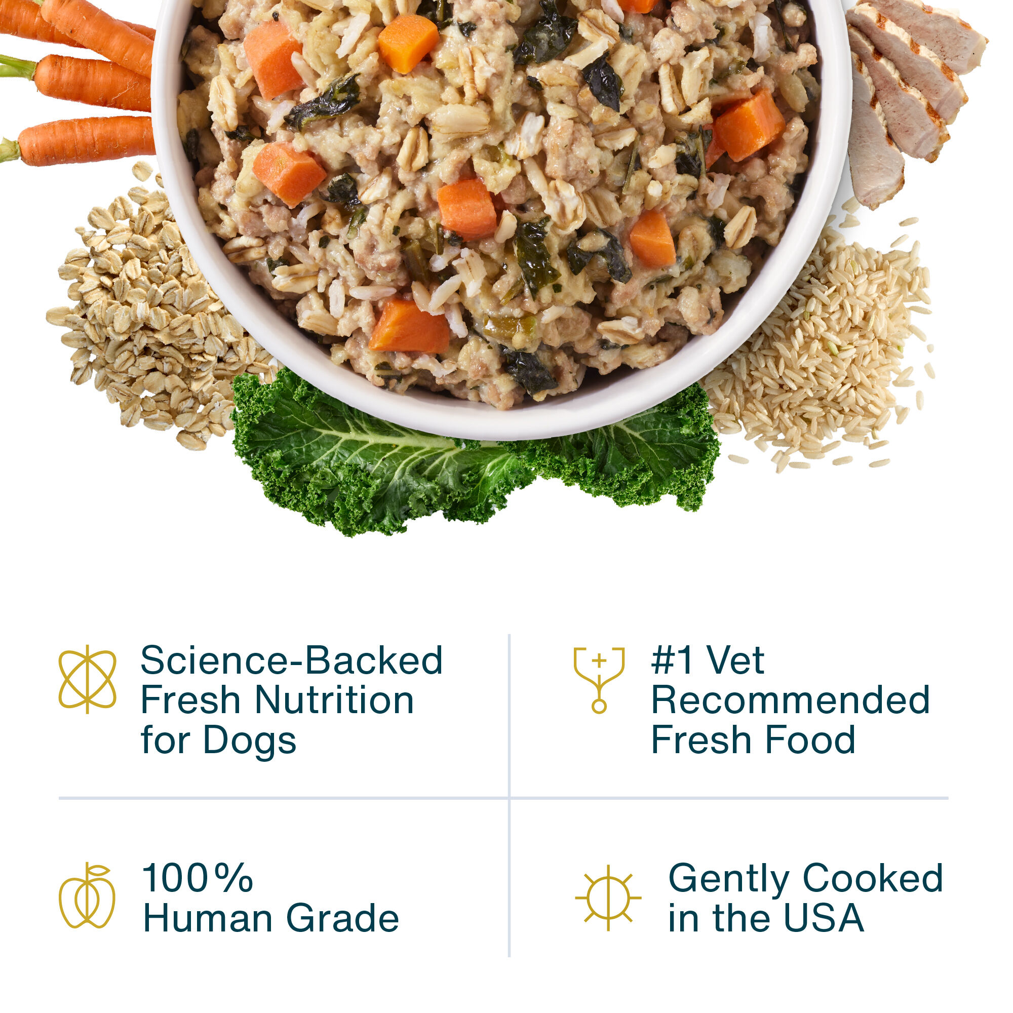 JustFresh Pork Dog Food Pouches - 7 pack | JustFoodForDogs