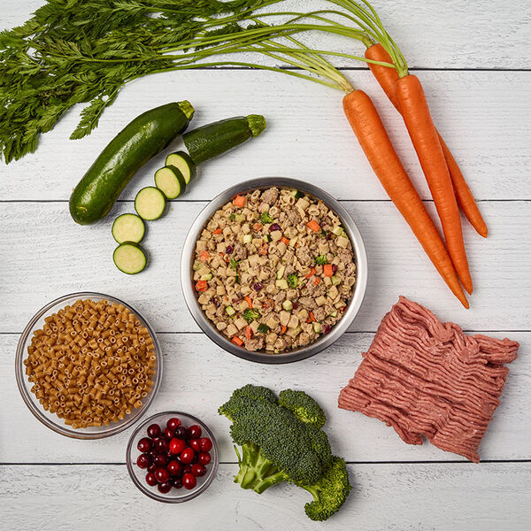Turkey & Whole Wheat Macaroni Recipe