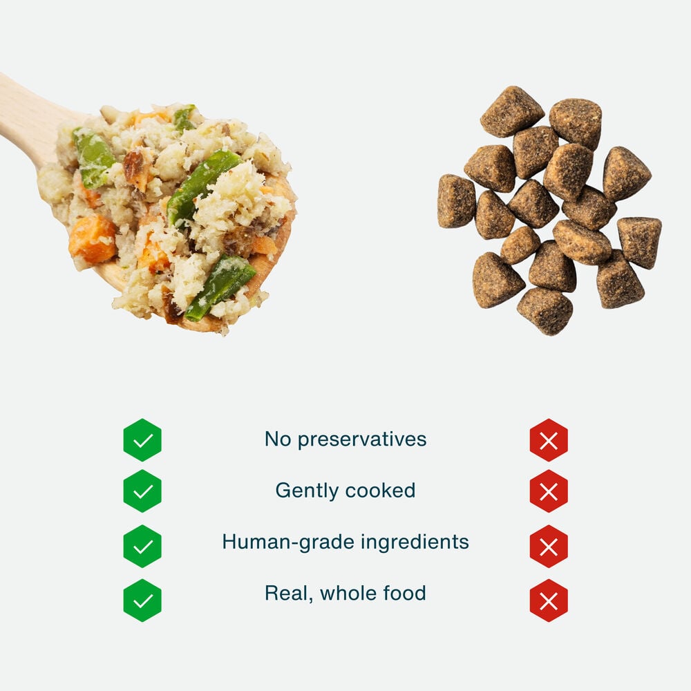 Turkey & Whole Wheat Macaroni Recipe