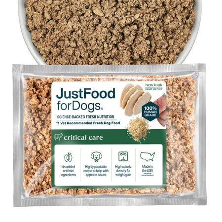 Critical Care Support