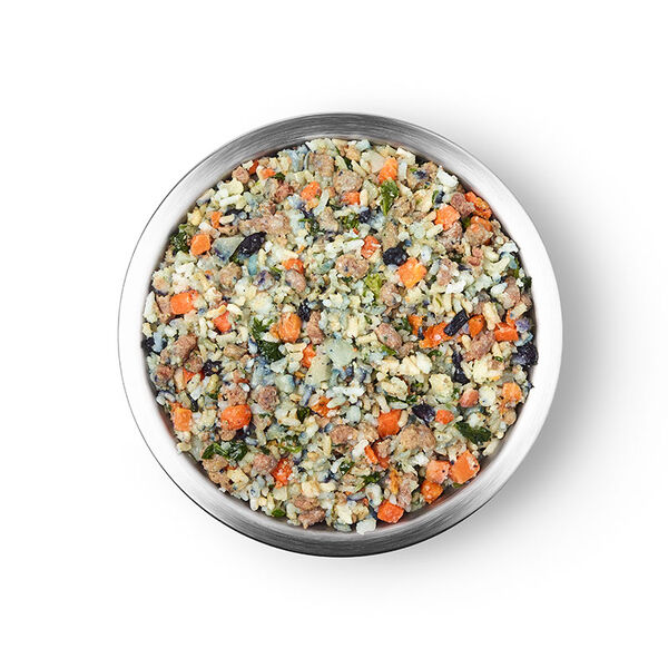 Low Protein Dog Food For Kidney Health Justfoodfordogs