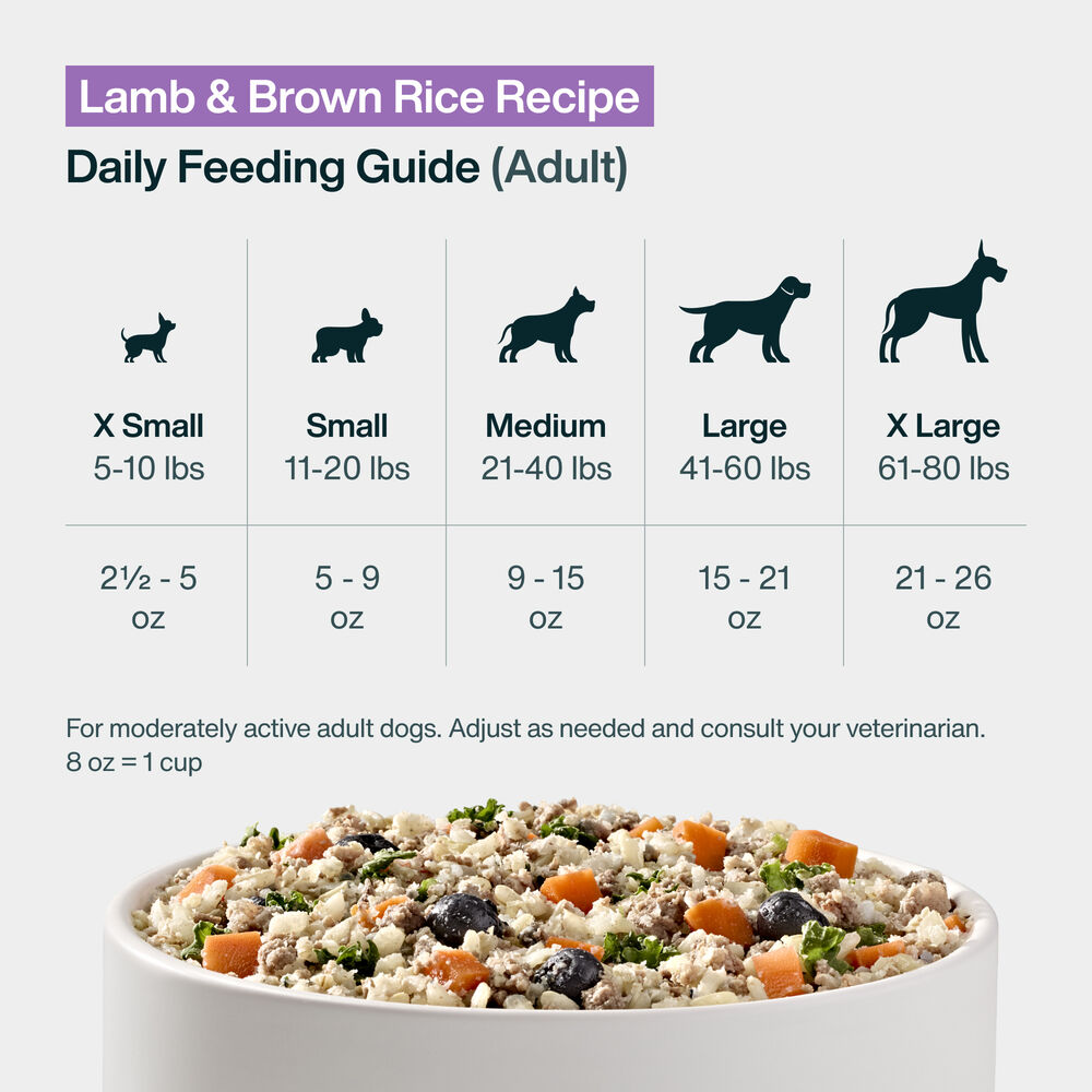 Pantry Fresh - Lamb & Brown Rice 12.5 oz Case (6 Pack)