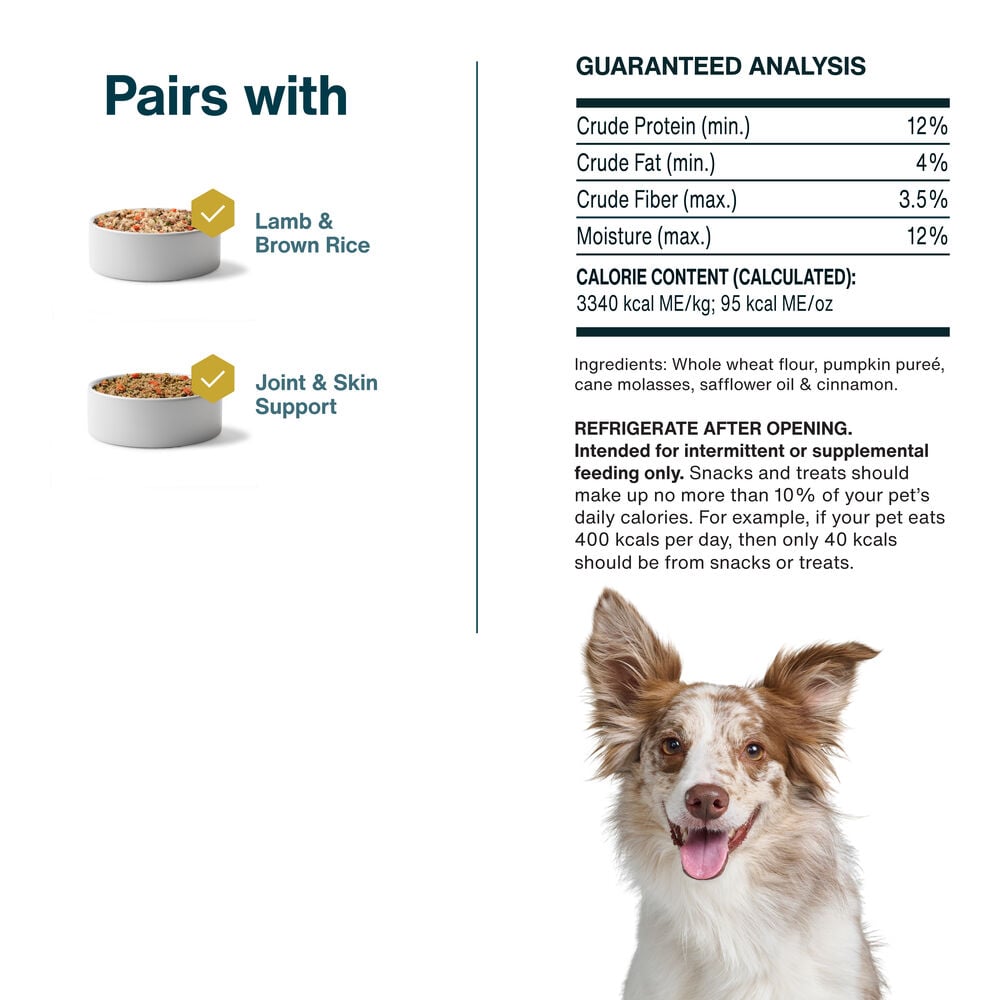 Pumpkin Dog Treats 5 oz
