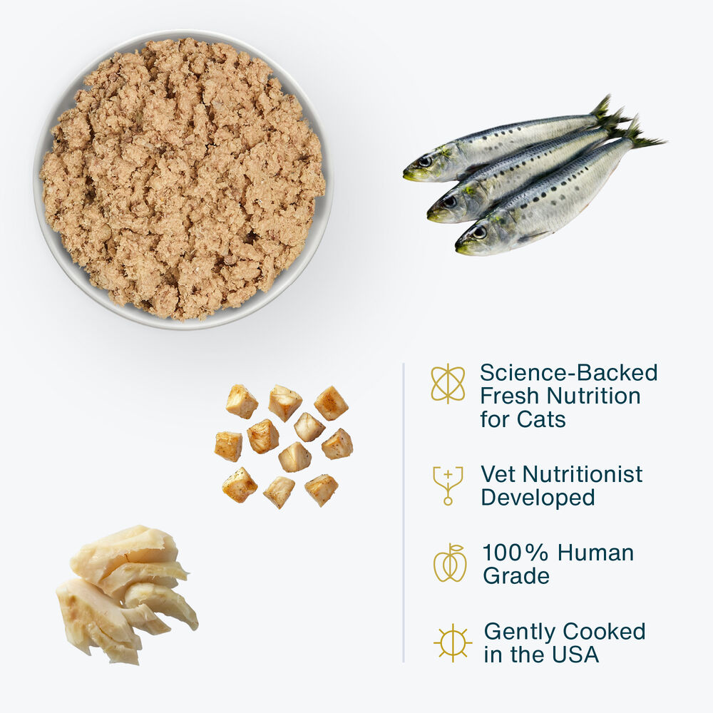 Fish & Chicken 18 oz (21 Pack) Medium Box