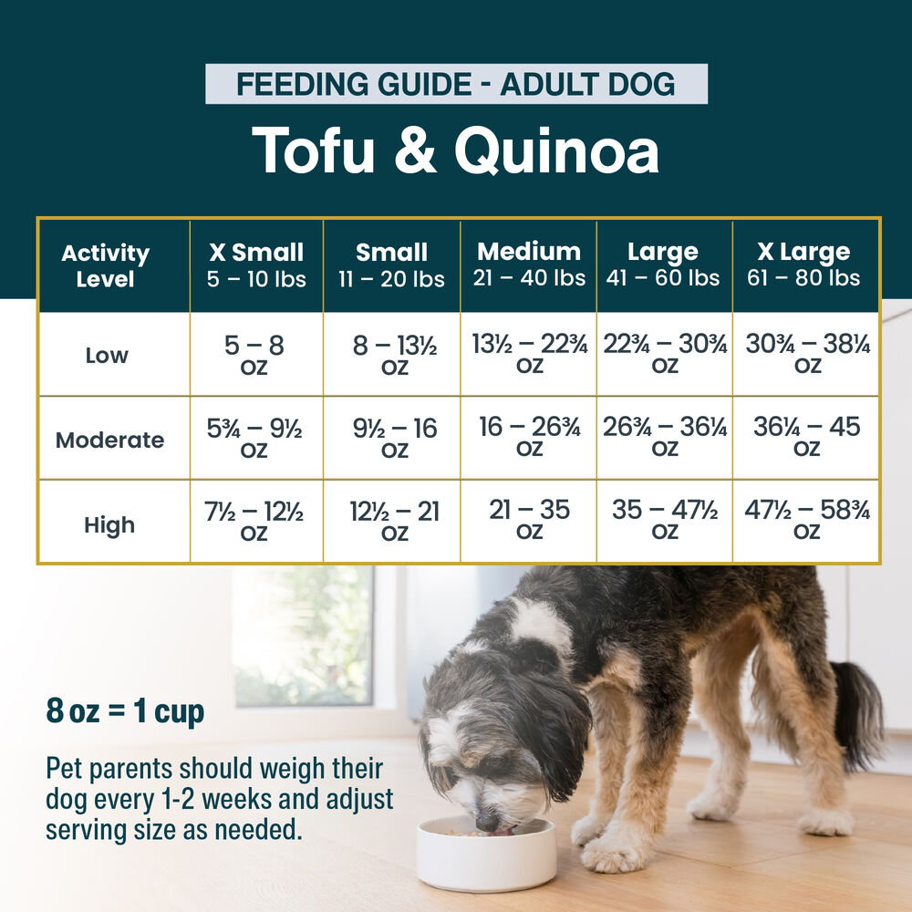 Tofu & Quinoa 18 oz (7 Pack) Small Box