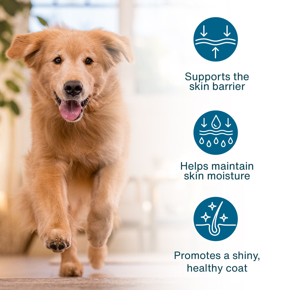 JustFresh Boost Meal Topper for Sensitive Skin (8 oz 8-Pack)