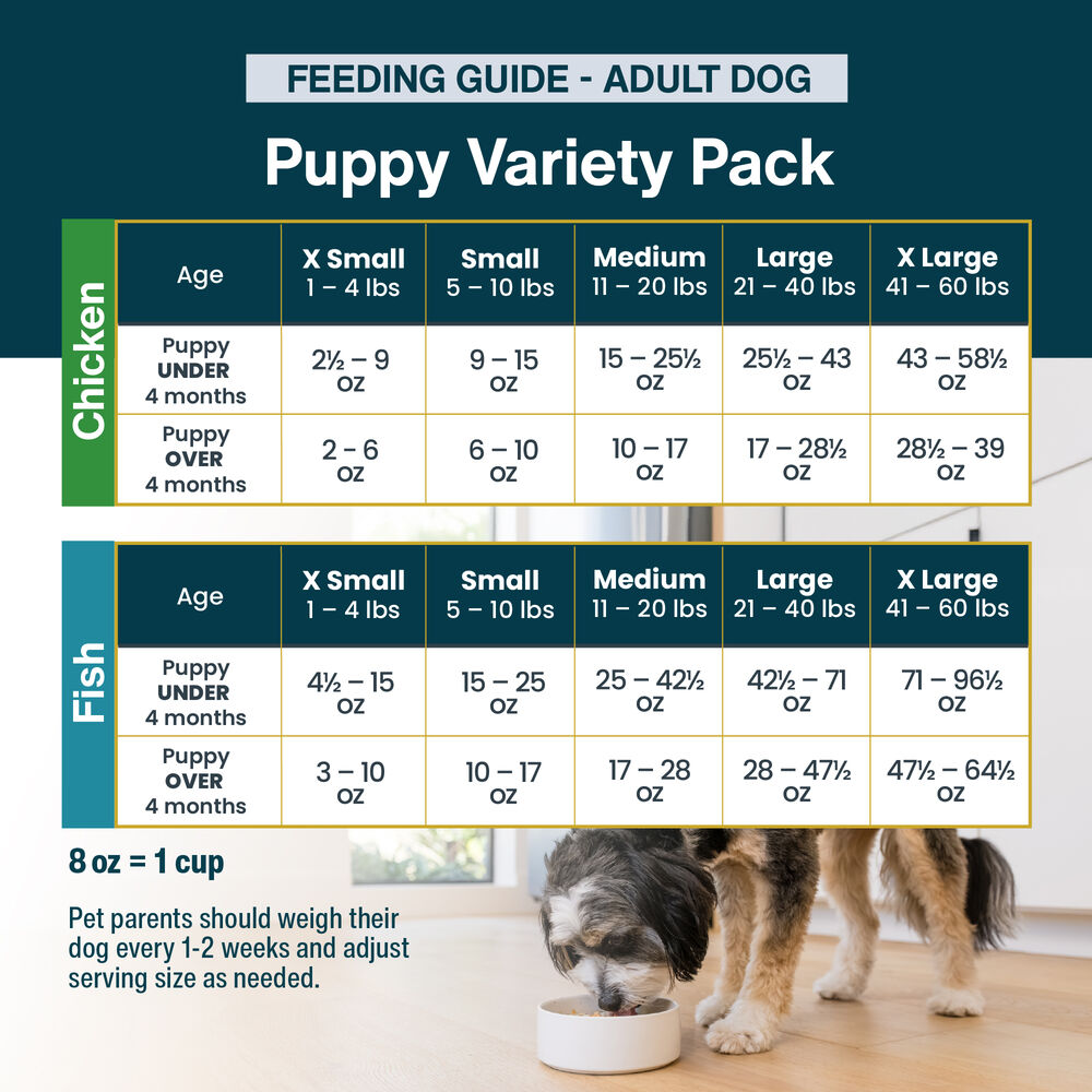 Variety Pack - Puppy 18 oz (7 Pack)