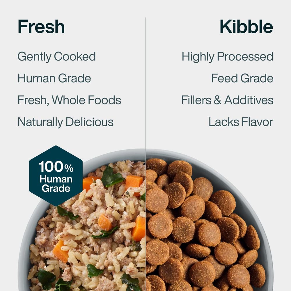 JustFresh Best Sellers Pack - Beef, Chicken, Turkey (21 Pack)