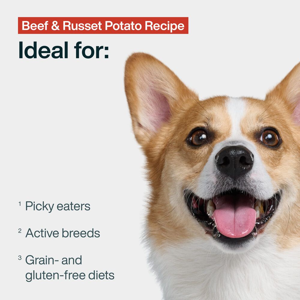 Pantry Fresh - Beef & Russet Potato 12.5 oz Case (6 Pack)