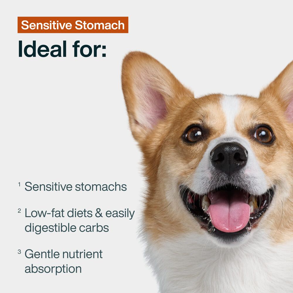 Sensitive Stomach 18 oz (7 Pack) Small Box
