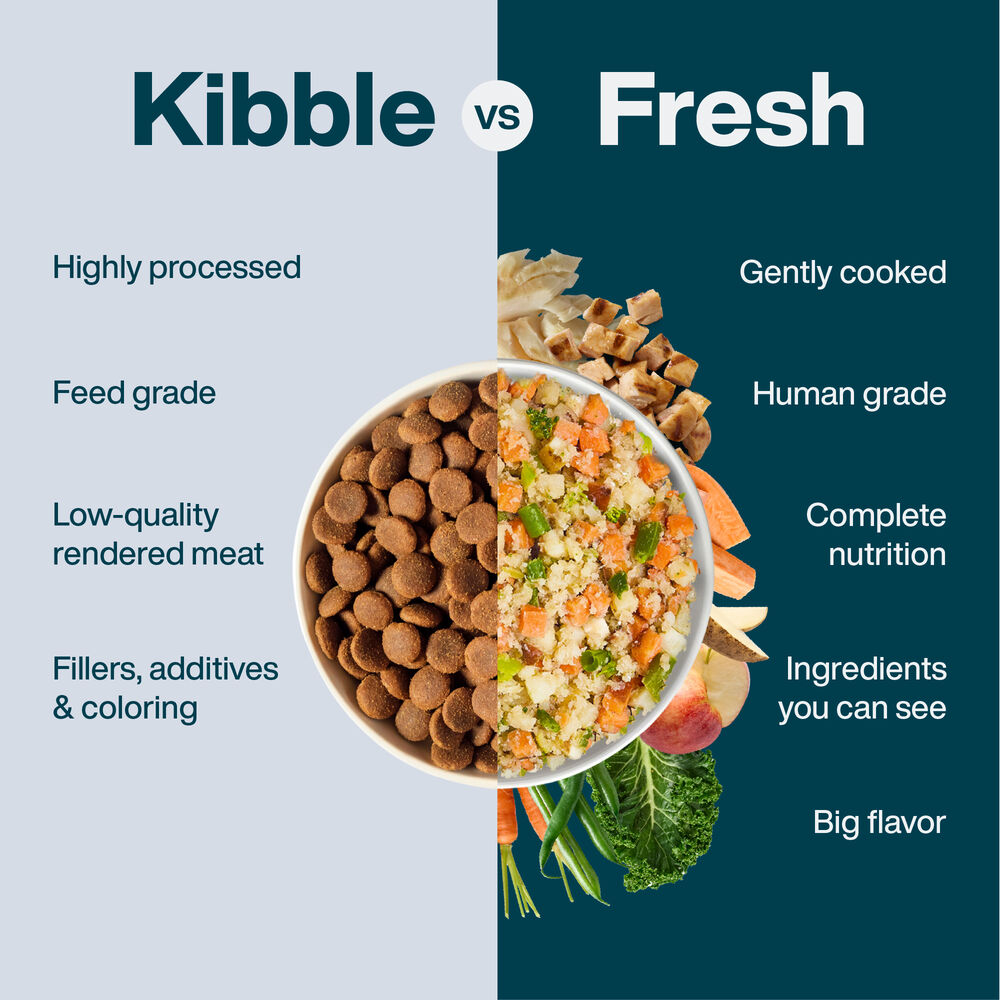 Variety Pack - Puppy 18 oz (7 Pack)