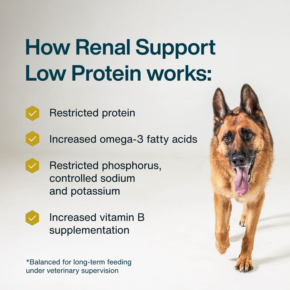 Renal Support Low Protein 18 oz (7 Pack) Small Box