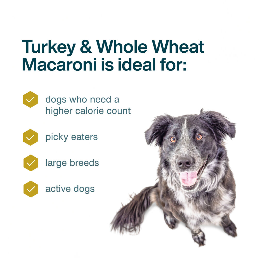 Turkey & Whole Wheat Macaroni 72 oz (7 Pack) Large Box