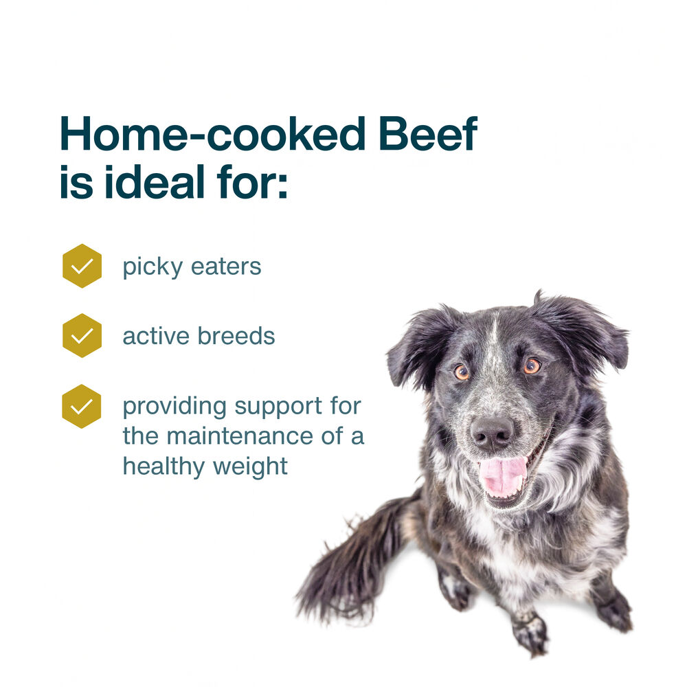 JustFresh Home-Cooked Beef (12 oz 7 Pack)