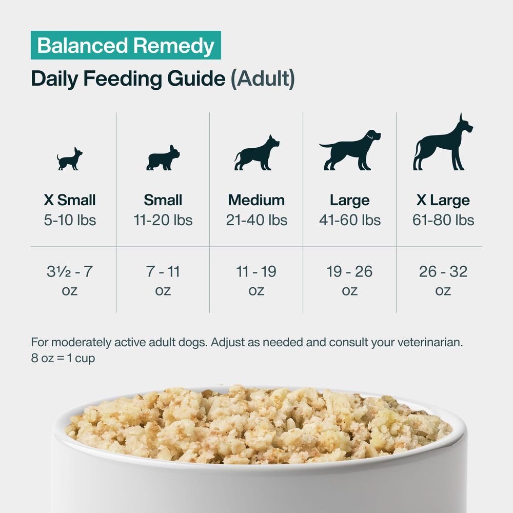 Pantry Fresh Healthy Digestion Bundle