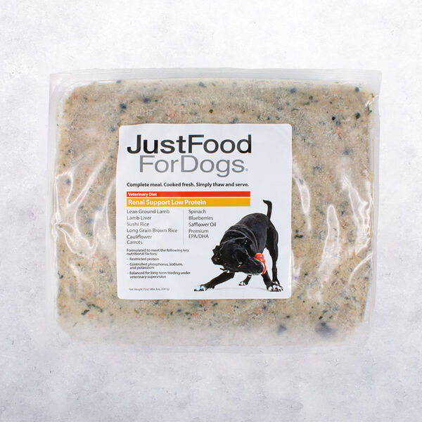 Is Spinach Good For Dogs With Kidney Disease