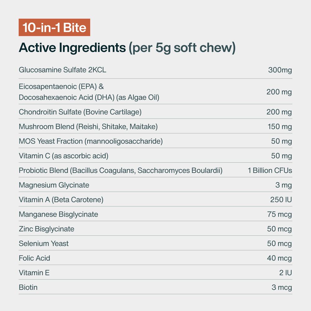10-in-1 Bite (45 Chews)