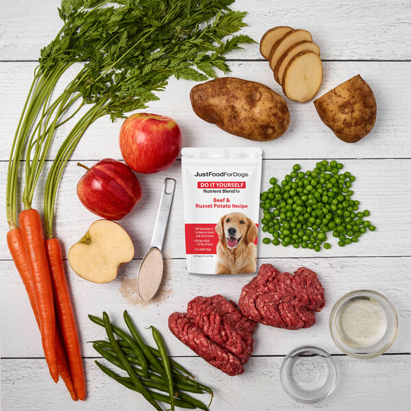 Do It Yourself Nutrient Blend - Beef | JustFoodForDogs
