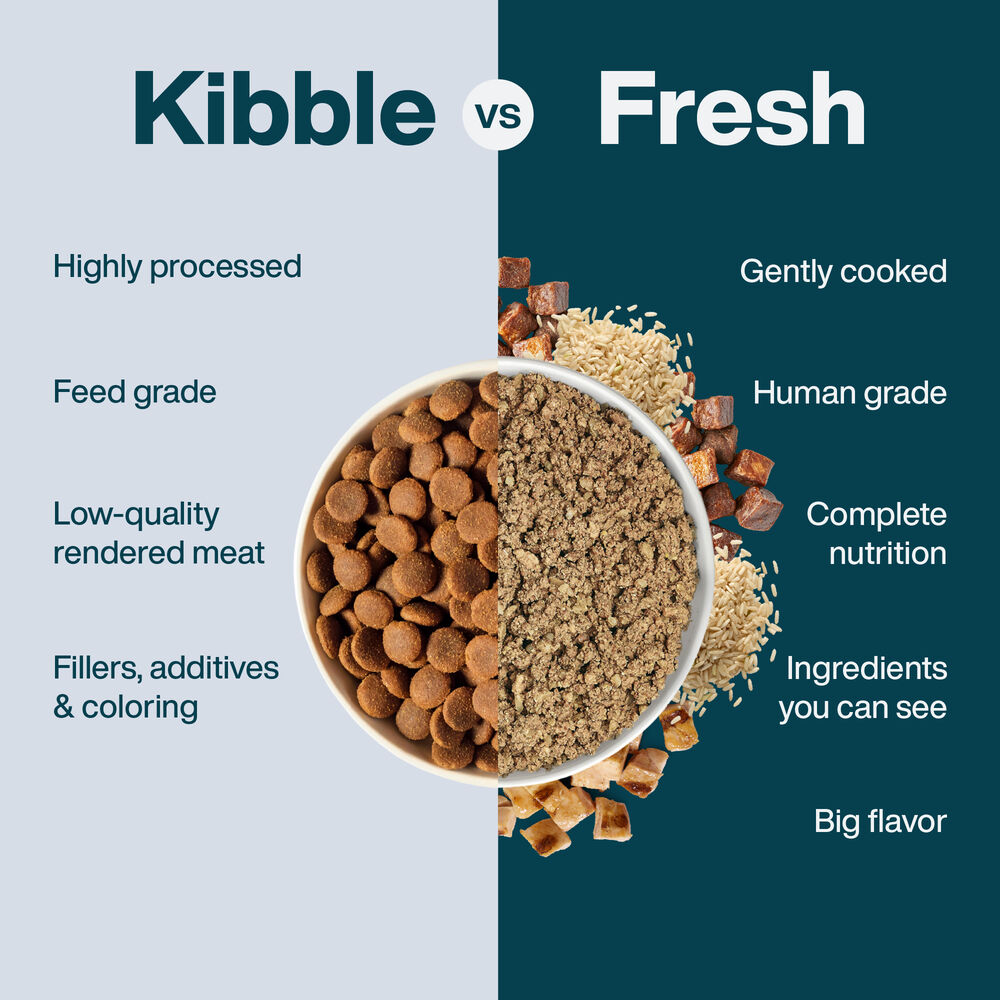 Critical Care Support 18 oz (7 Pack) Small Box