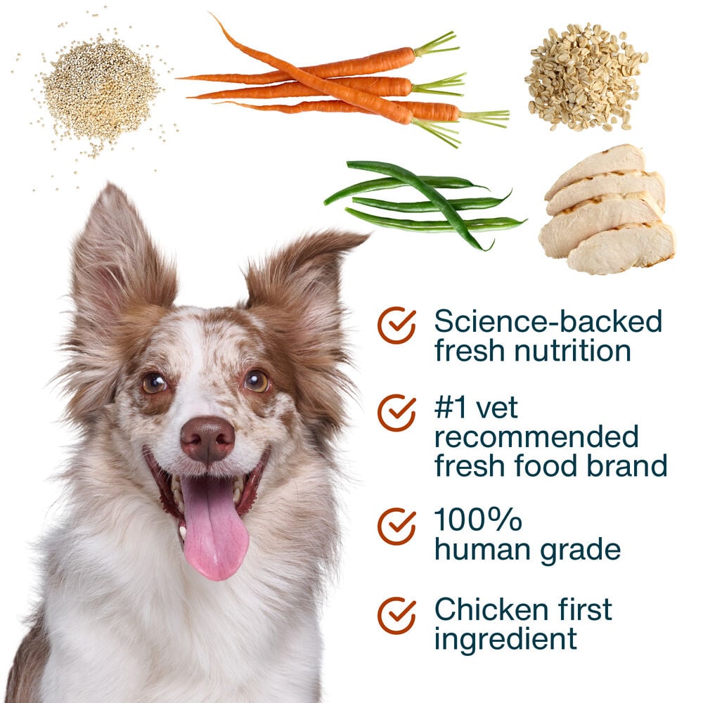 JustFresh Boost Meal Topper for Sensitive Stomachs (8 oz 8-Pack)