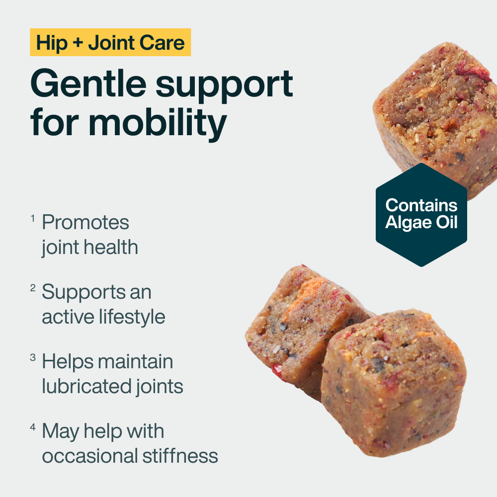 Hip + Joint Care (45 Chews)