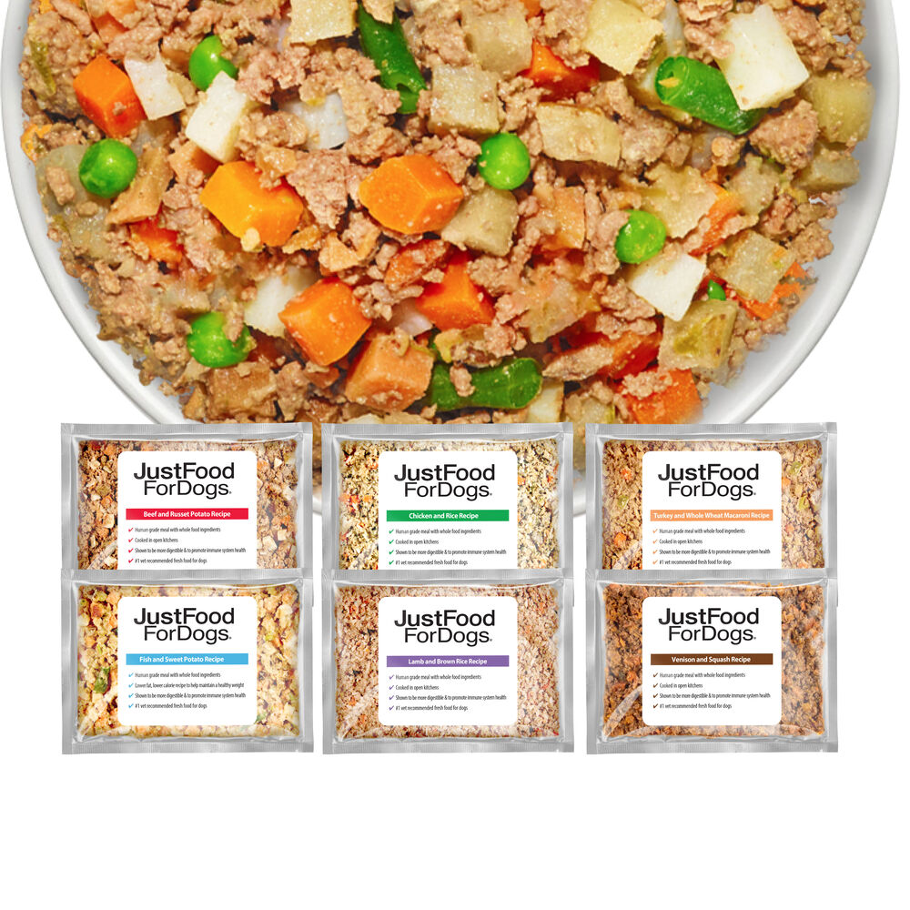 Recipe Healthy Dog Food For Picky Eaters Sampler Variety Box
