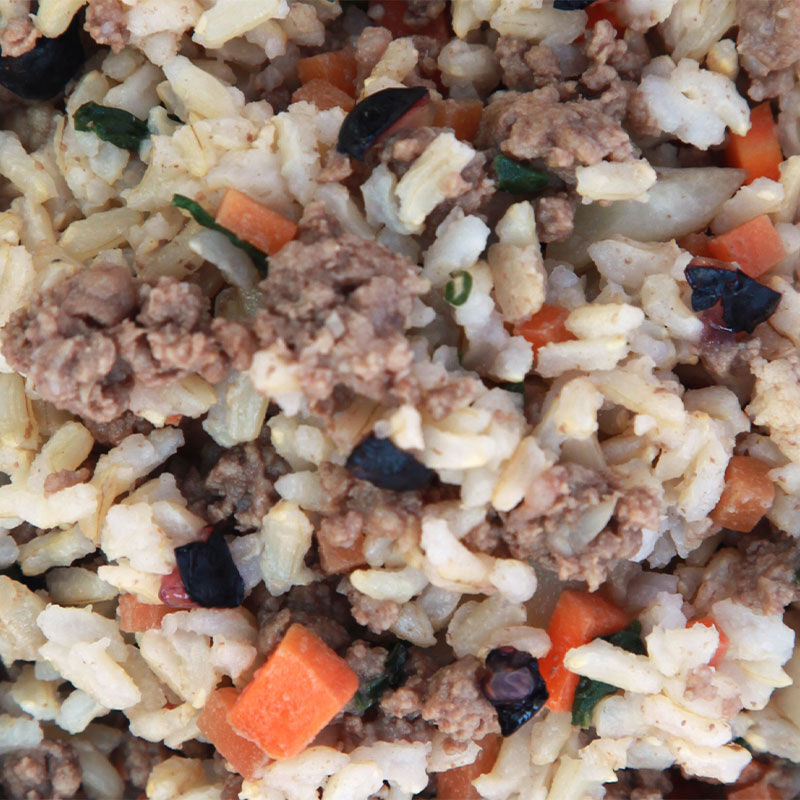 Homemade lamb on sale dog food recipe