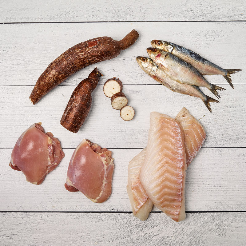 Just food for online dogs cat food