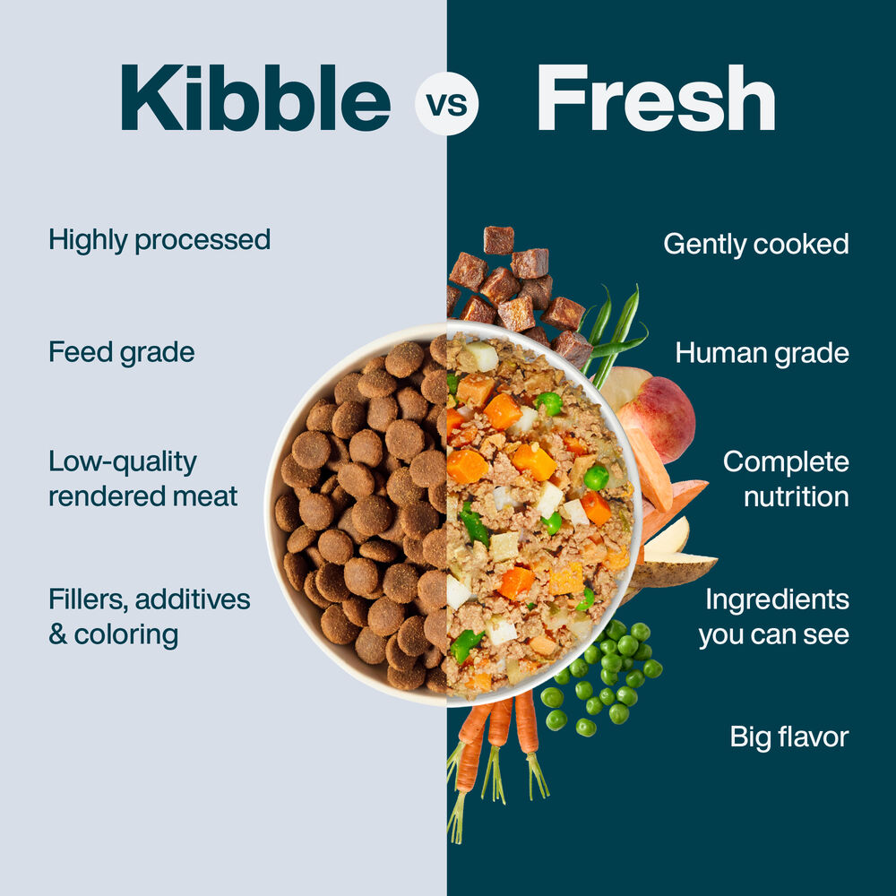 JustFresh Home-Cooked Beef (12 oz 7 Pack)