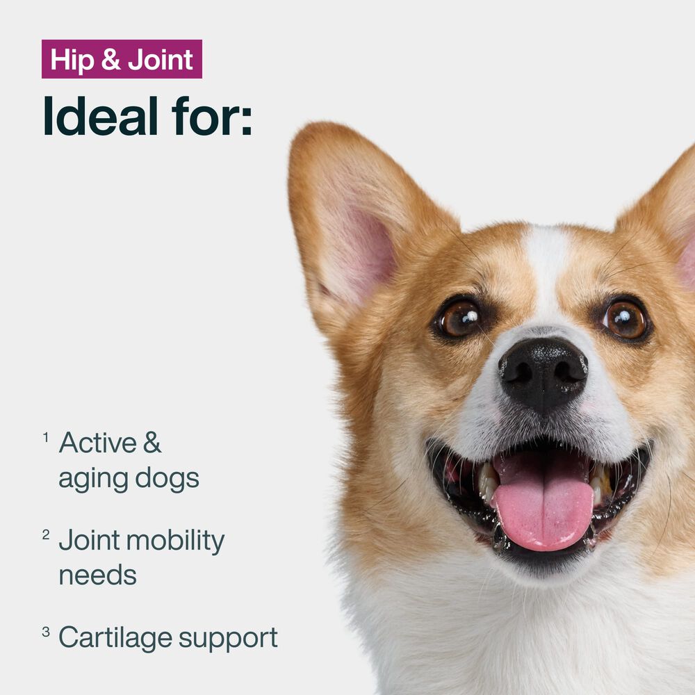JustFresh Boost Meal Topper for Hip & Joint Support (8 oz 8 Pack)