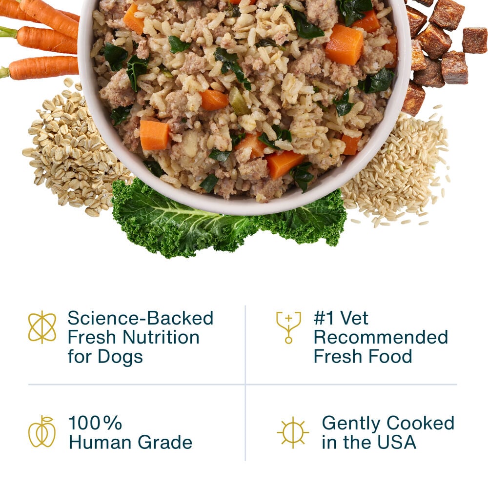 JustFresh Home-Cooked Beef (12 oz 7 Pack)