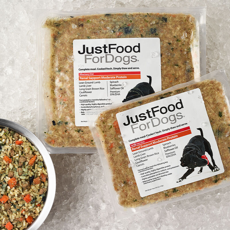 just food for dogs renal