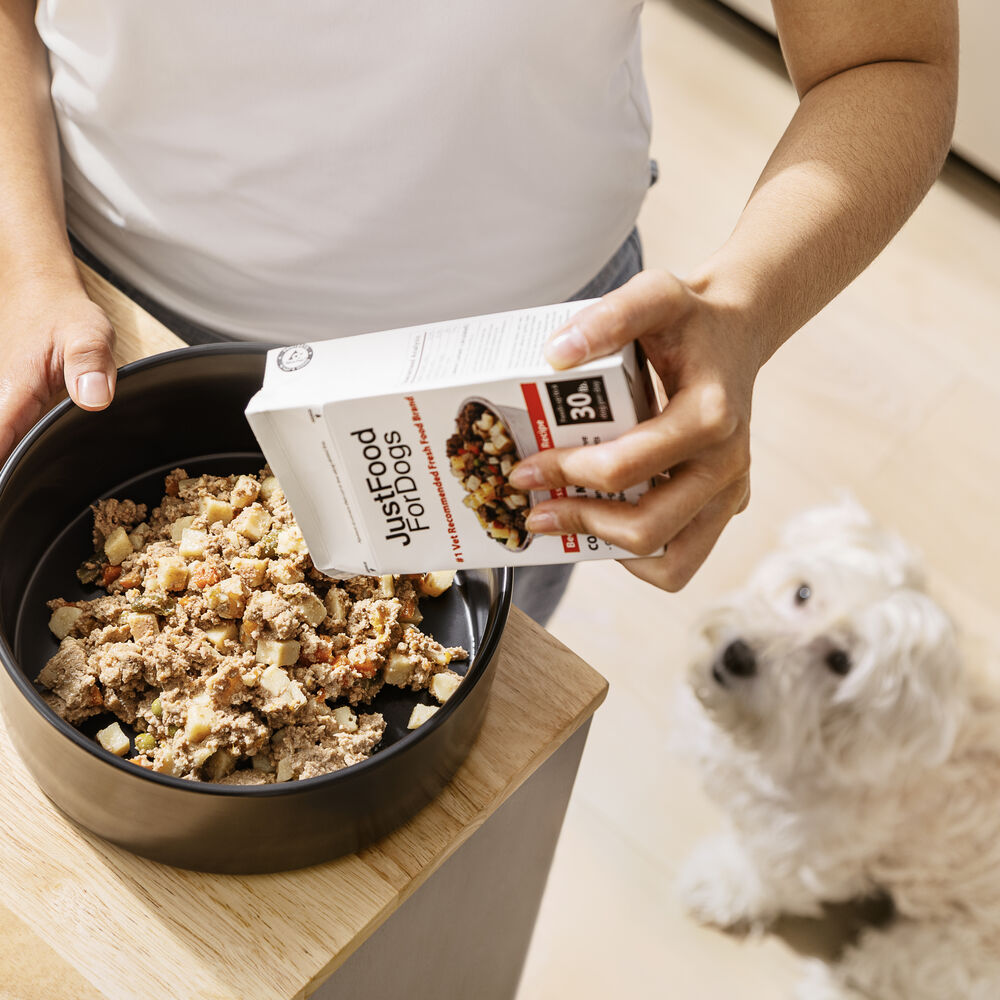 Low Protein Best Dog Food For Dogs With Kidney Disease Pantry