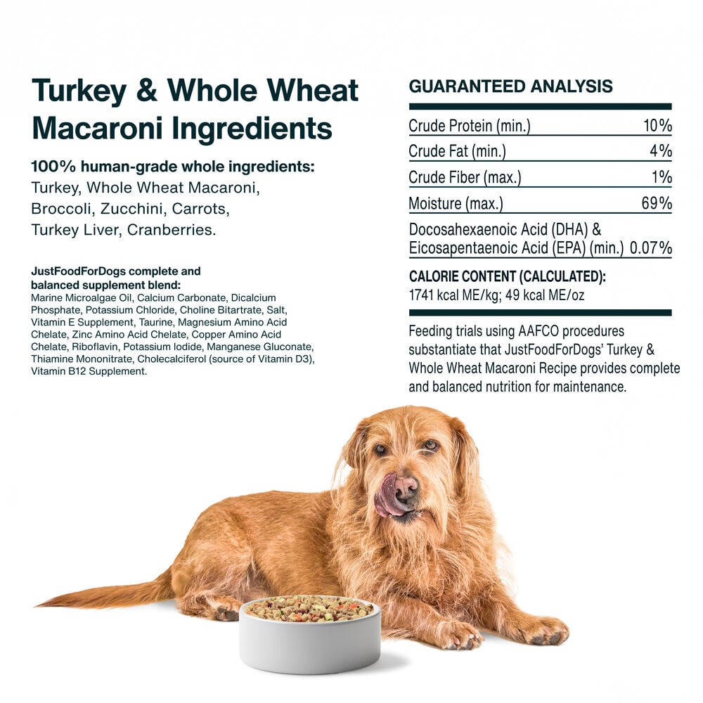 Turkey & Whole Wheat Macaroni Recipe