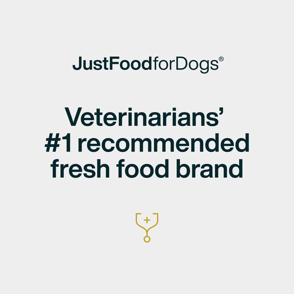 Pumpkin Dog Treats 5 oz