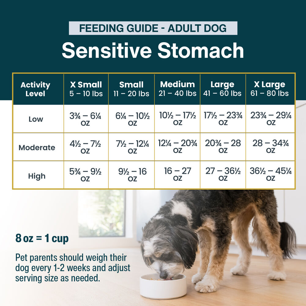 Sensitive Stomach 18 oz (7 Pack) Small Box
