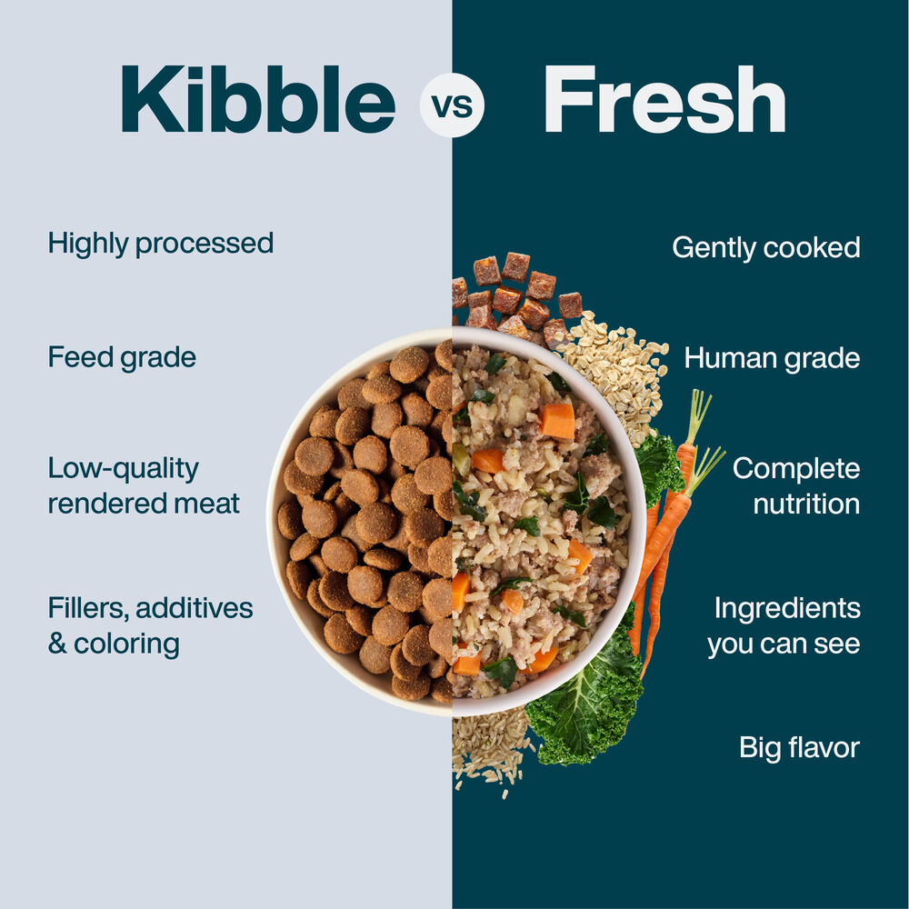 JustFresh Allergy-Friendly Favorites - Beef & Pork (14 Pack)