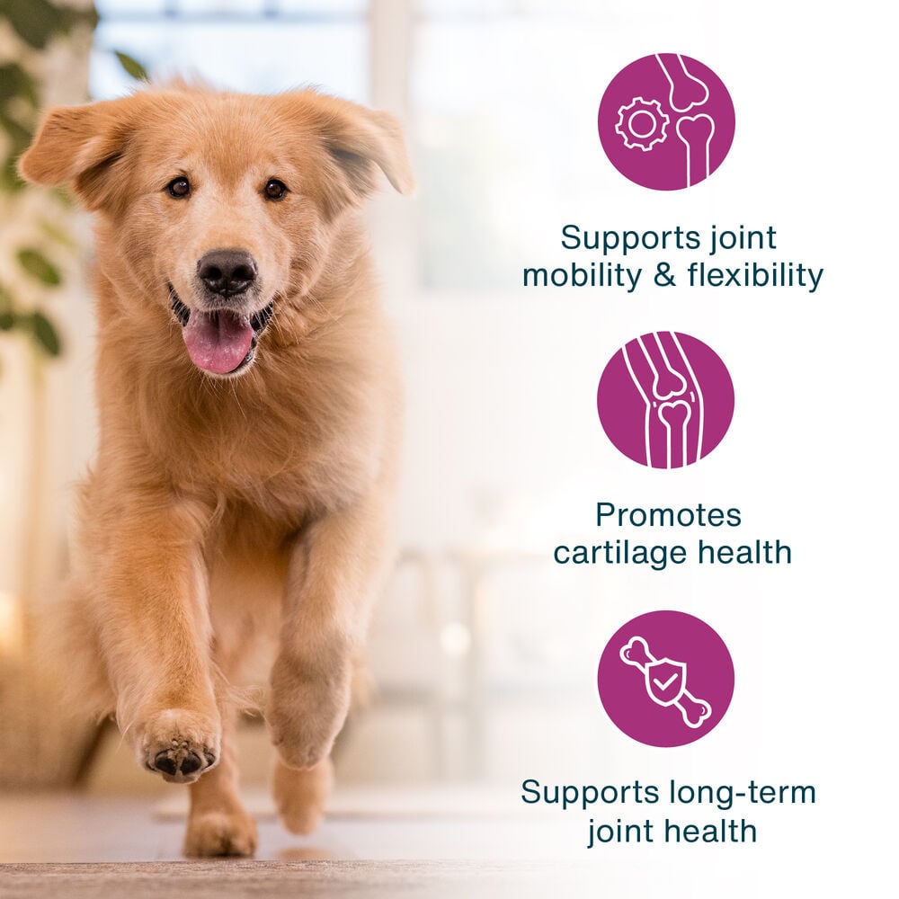 JustFresh Boost Meal Topper for Hip & Joint Support (8 oz 8 Pack)