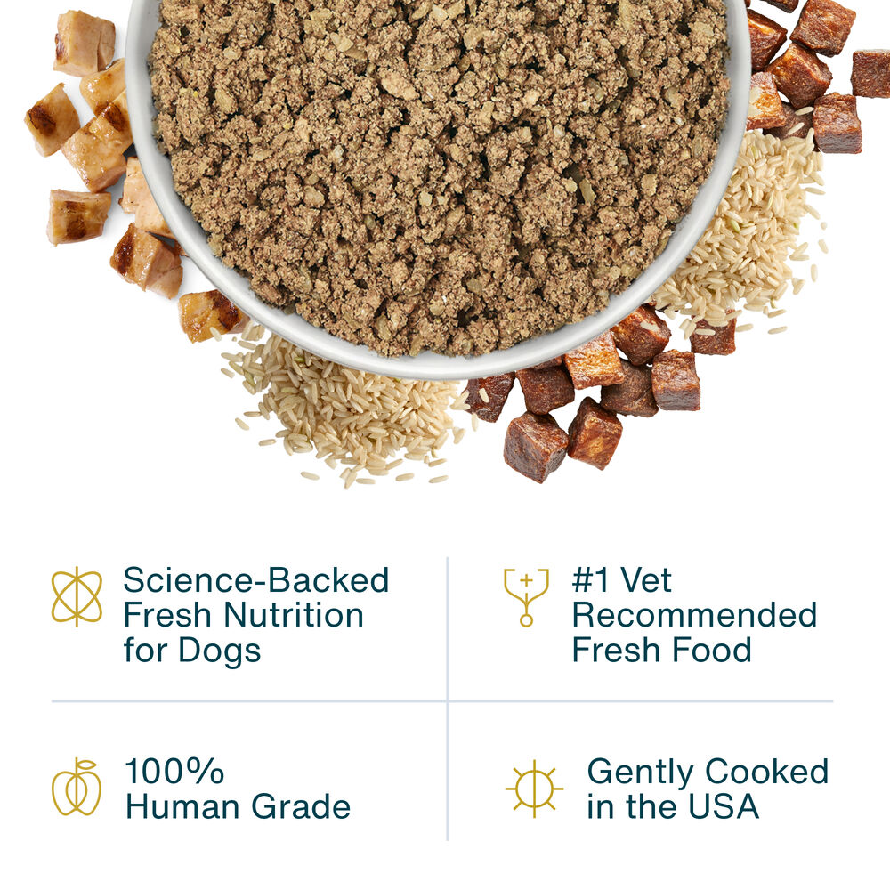 Critical Care Support 18 oz (7 Pack) Small Box