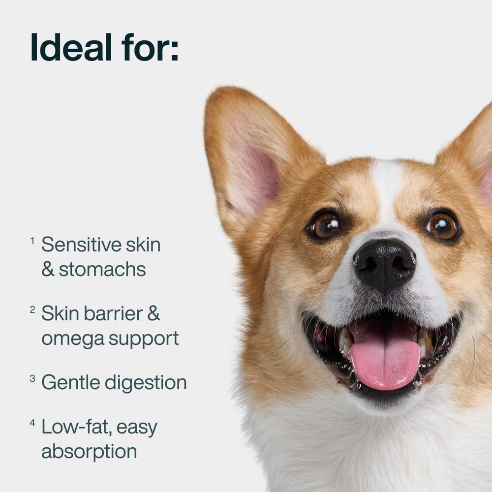 Variety Pack - Sensitive Skin & Stomach 18 oz (7 Pack) Small Box