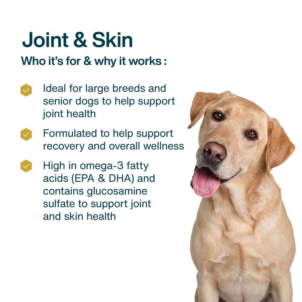 Joint & Skin Support 18 oz (7 Pack) Small Box