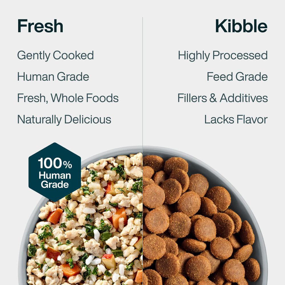 Chicken & Rice 18 oz (7 Pack) Small Box