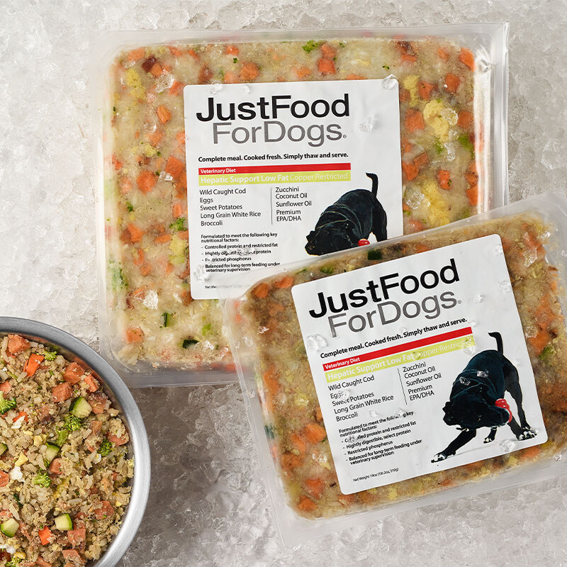 Hepatic support sale dog food