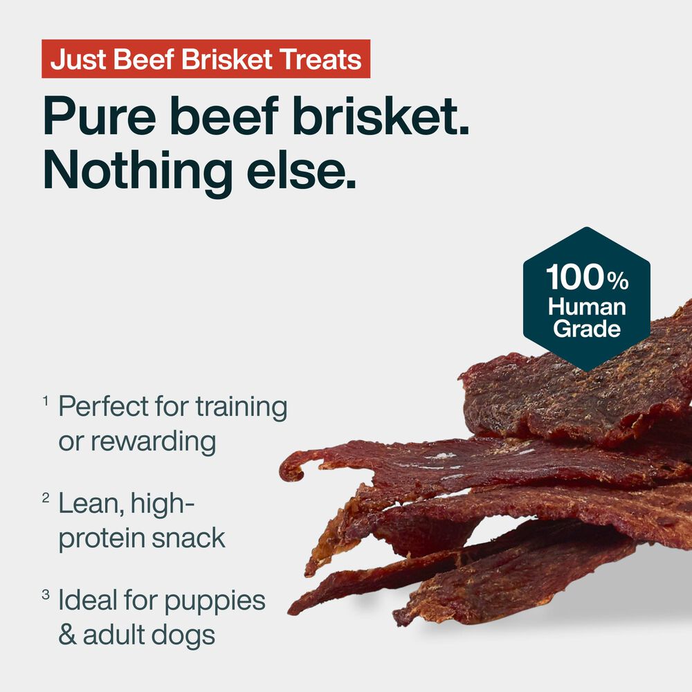 Beef Brisket Treat 5 oz
