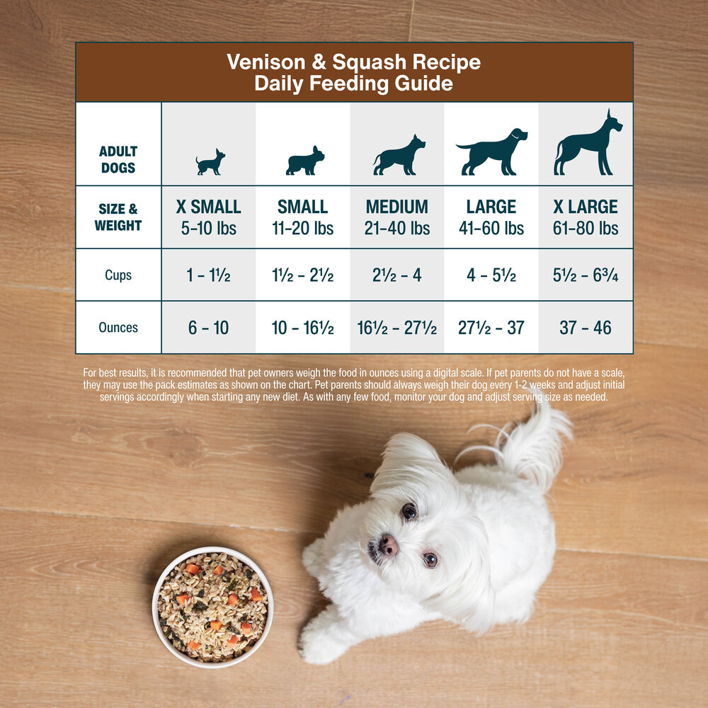 Venison & Squash 18 oz (7 Pack) Small Box