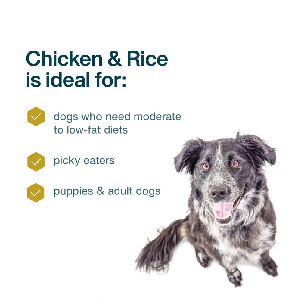 Chicken & Rice 18 oz (7 Pack) Small Box