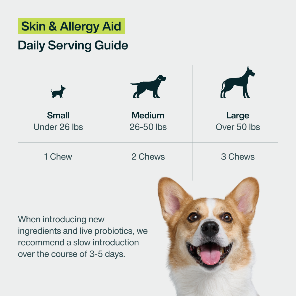 Skin & Allergy Aid (45 Chews)