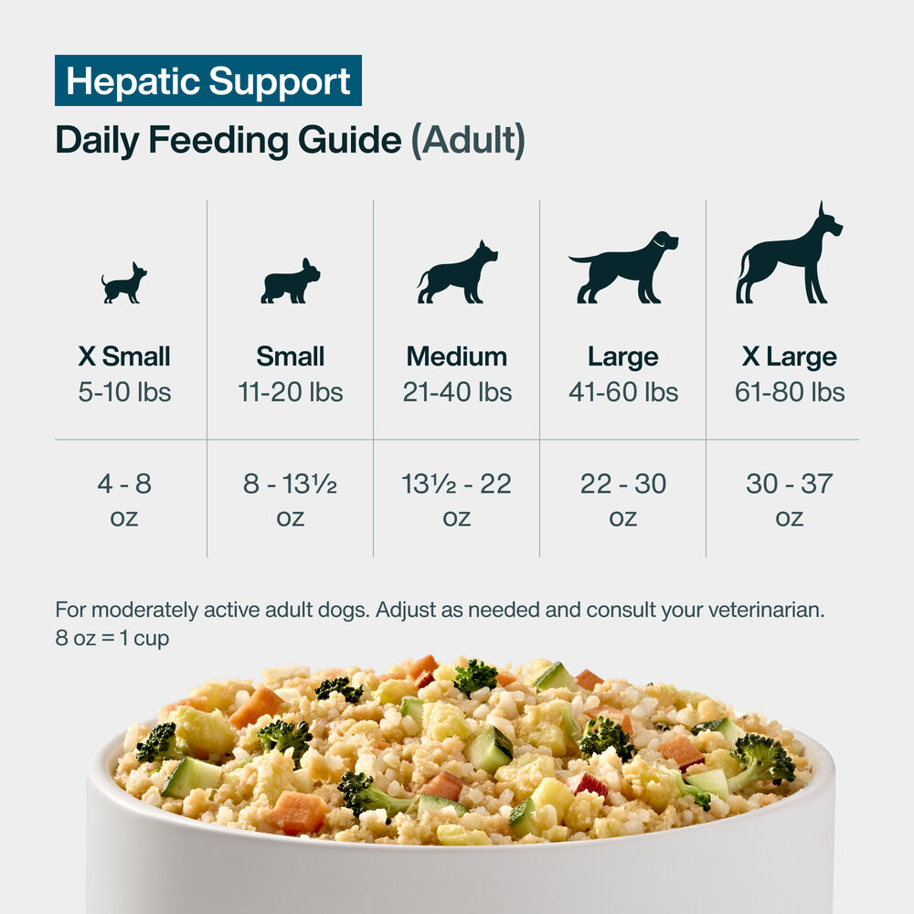 Pantry Fresh - Hepatic Support 12.5 oz Case (12 Pack)