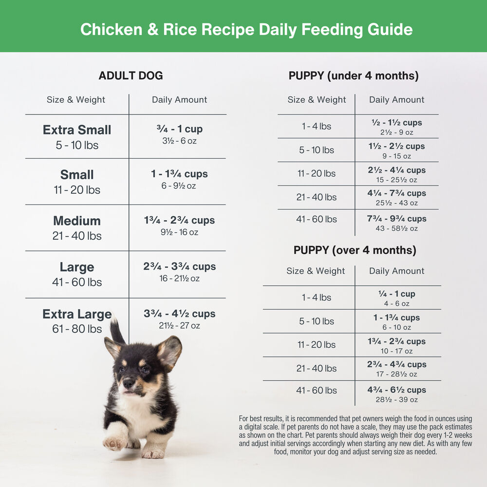 DIY Nutrient Kit - Chicken